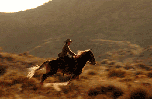 Cowboy.gif